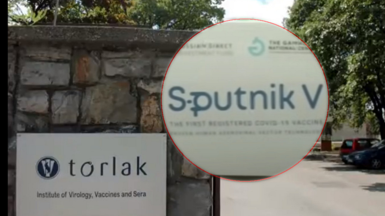 Torlak, Vakcina, Sputnik V