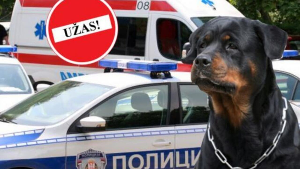 rotvajler