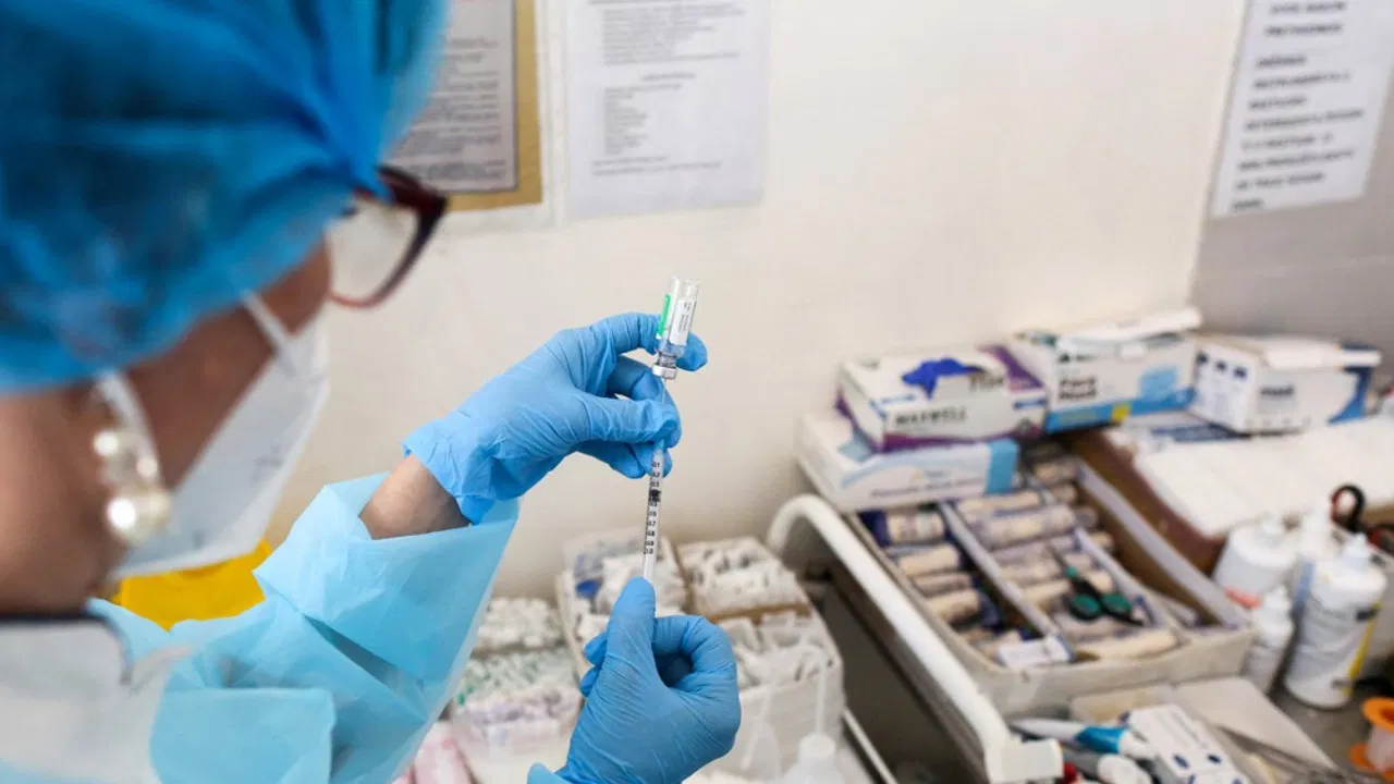 korona virus