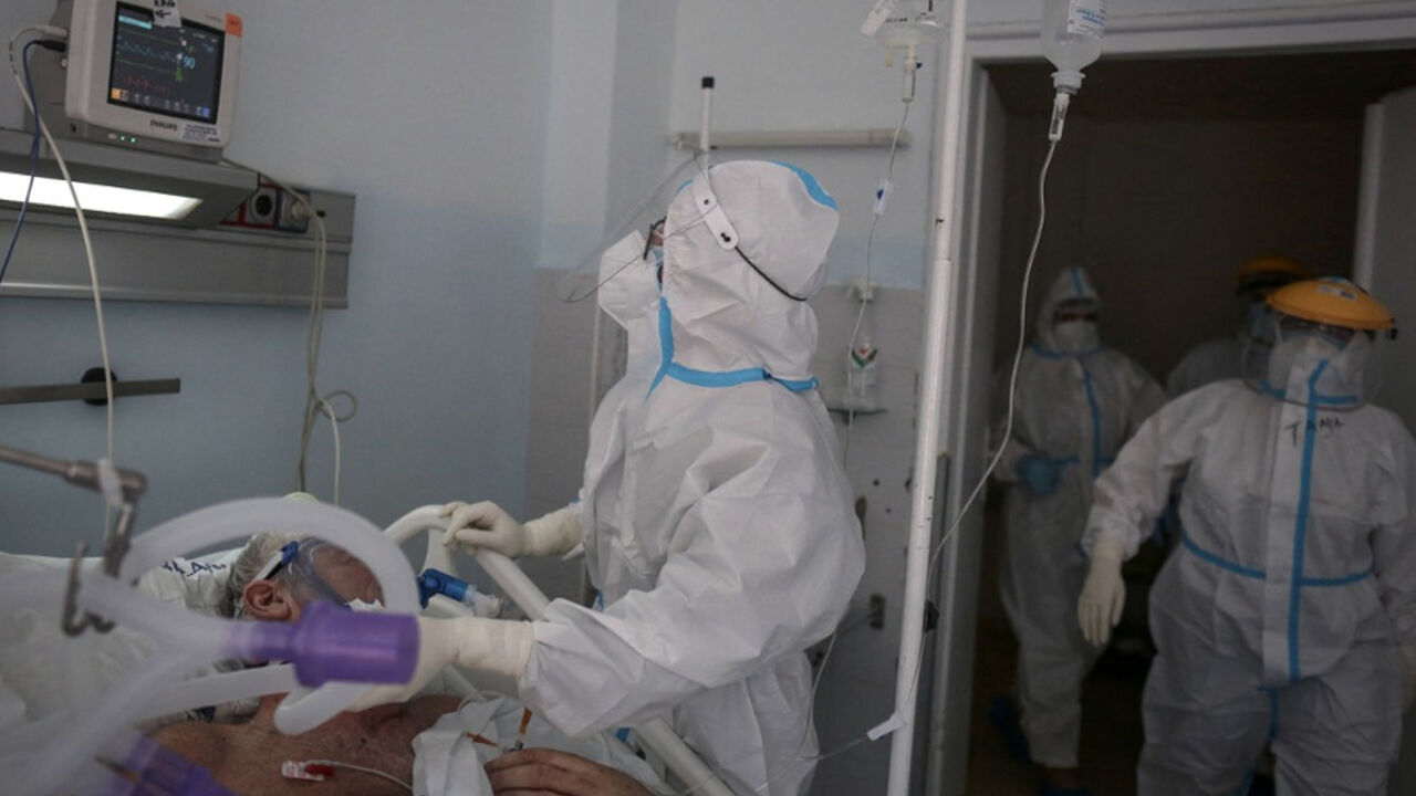 korona virus