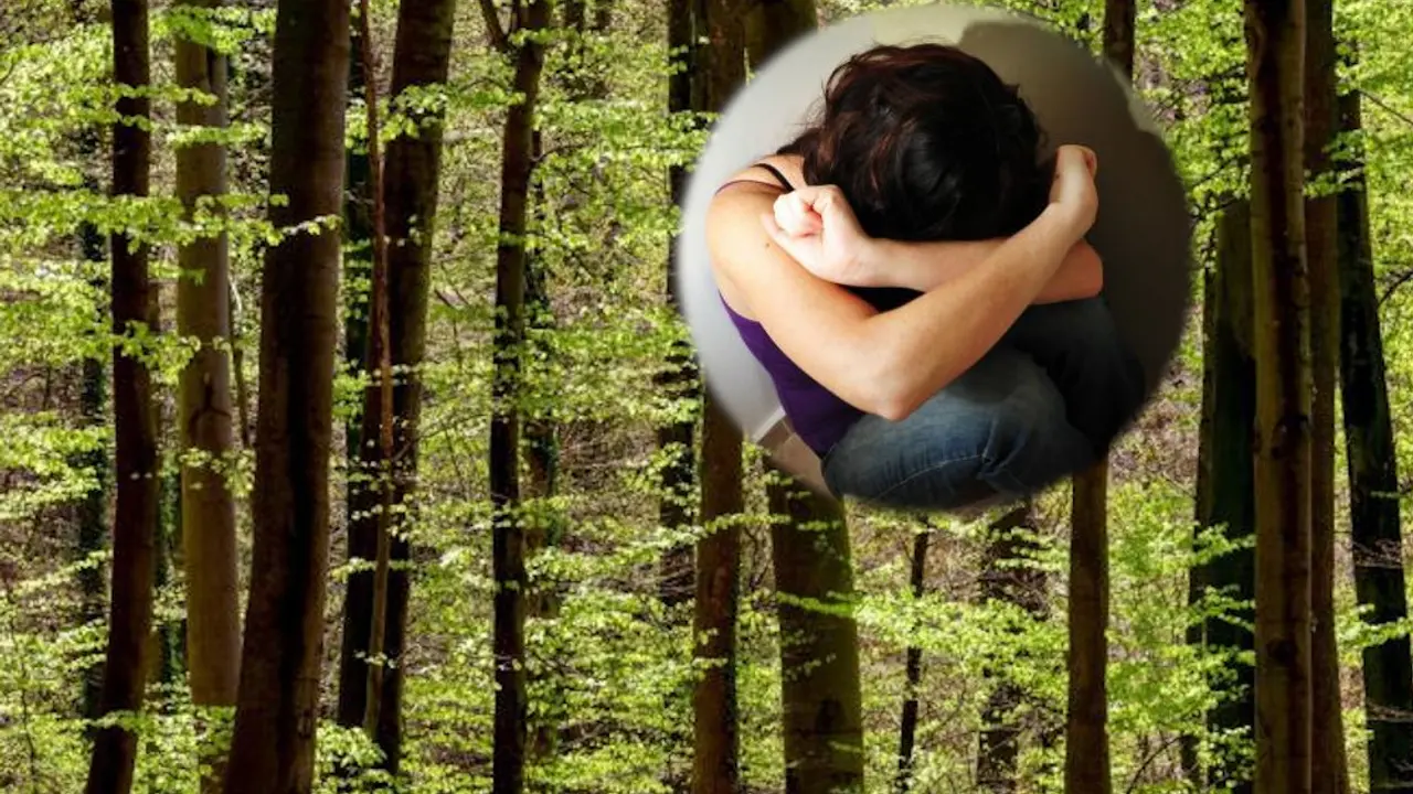 Silovanje u šumi