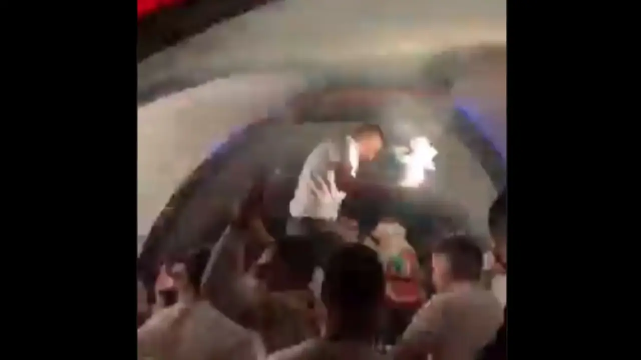 korona žurka