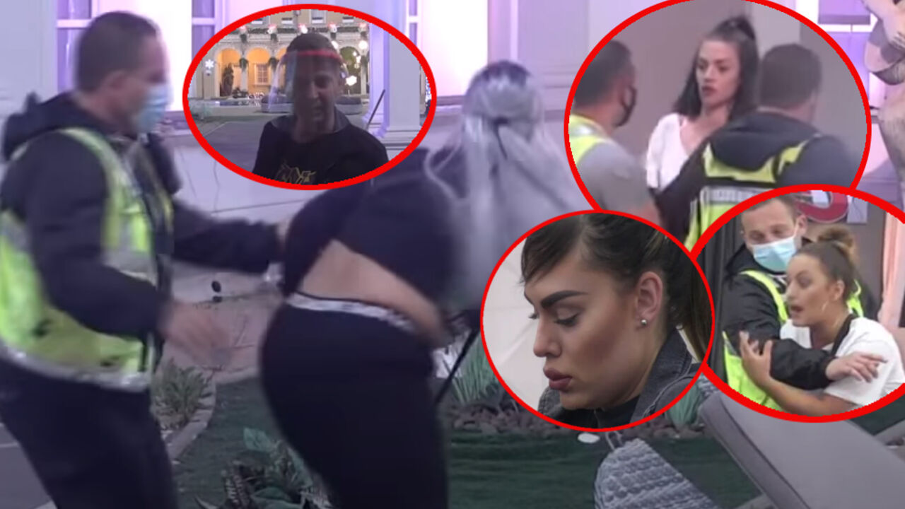 Zadruga pregled dana