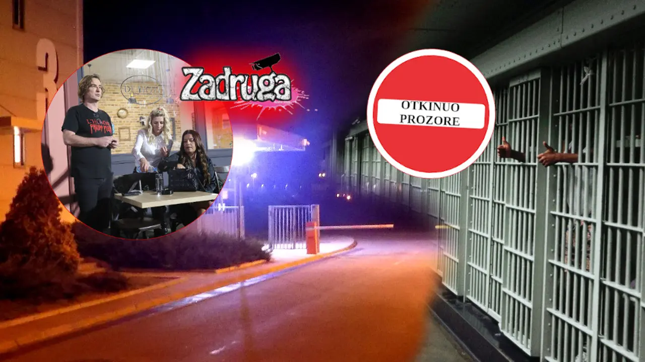 Karađorđe Subotić, Zadruga, rijaliti