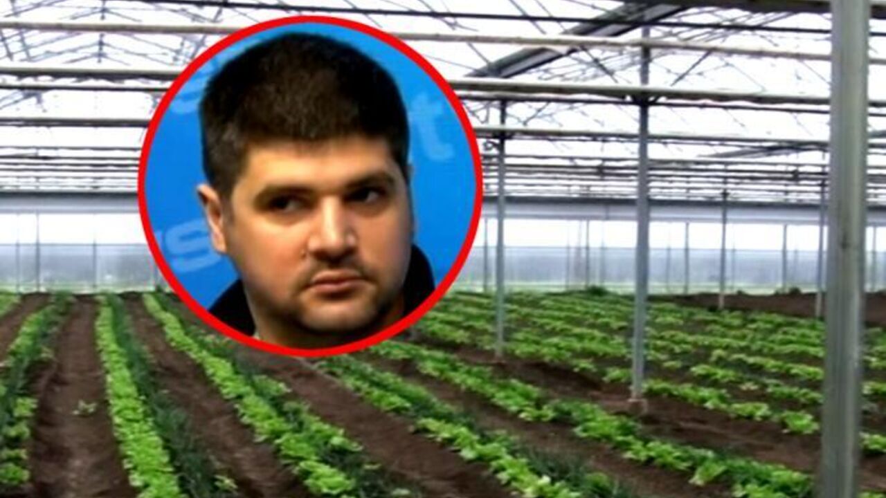 Predrag Koluvija