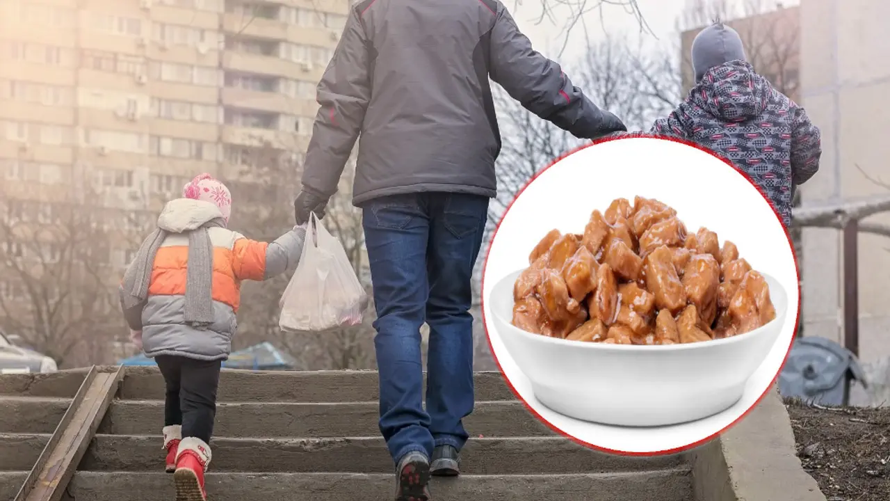 hrana za mačke