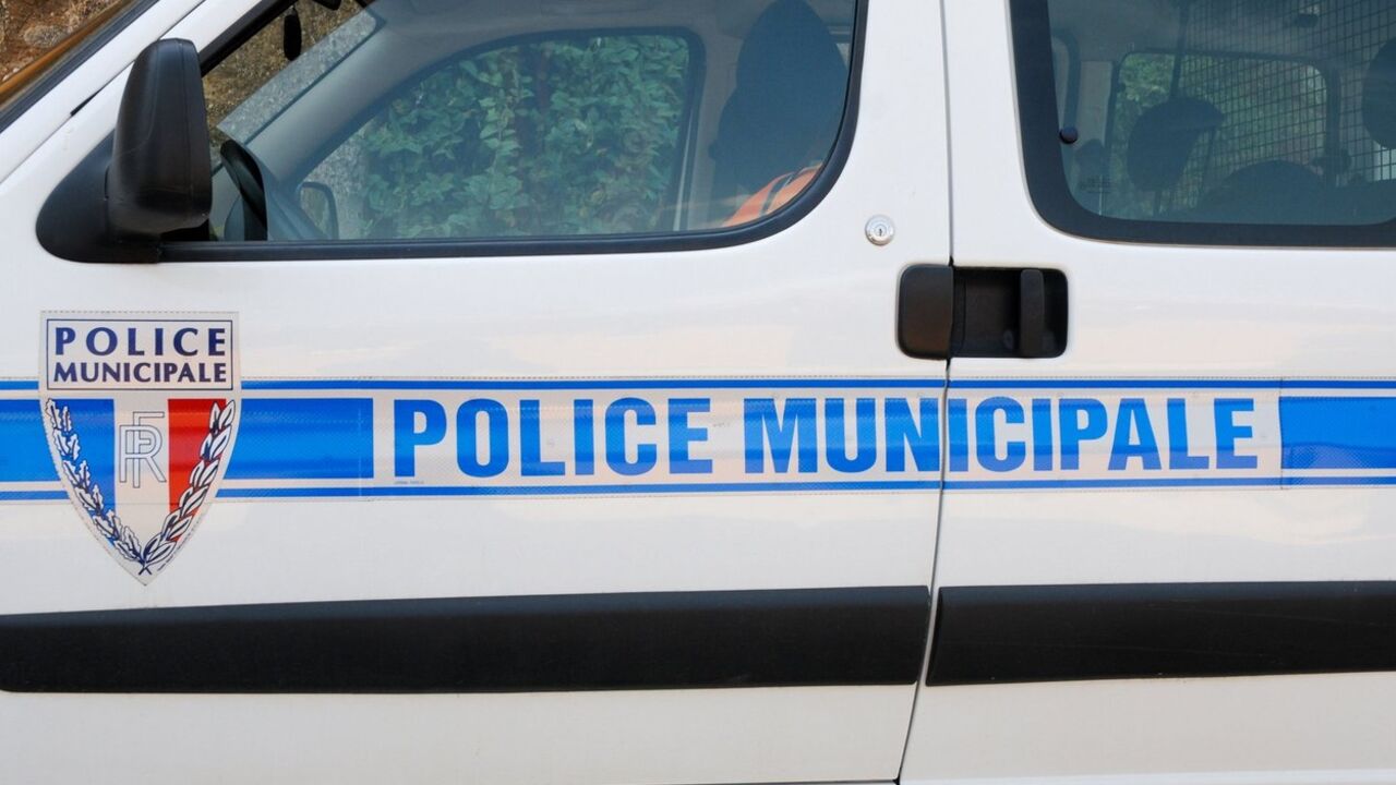 Francuska policija