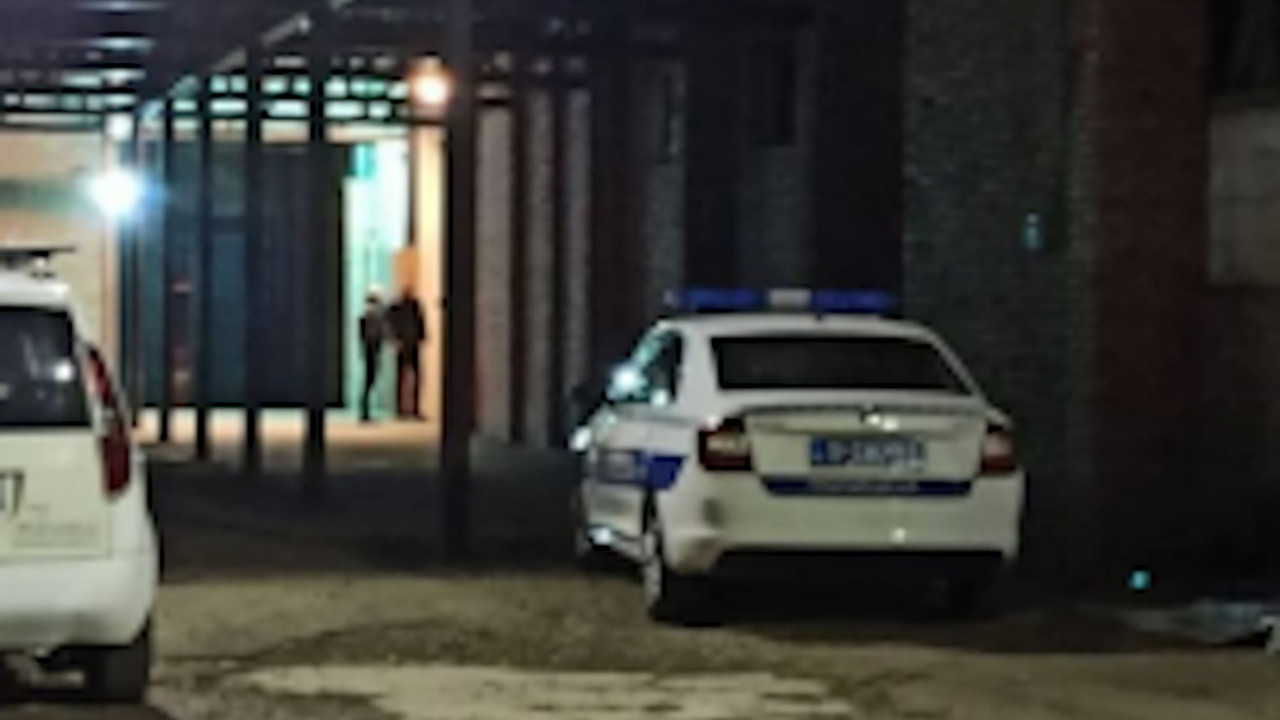 Parovi