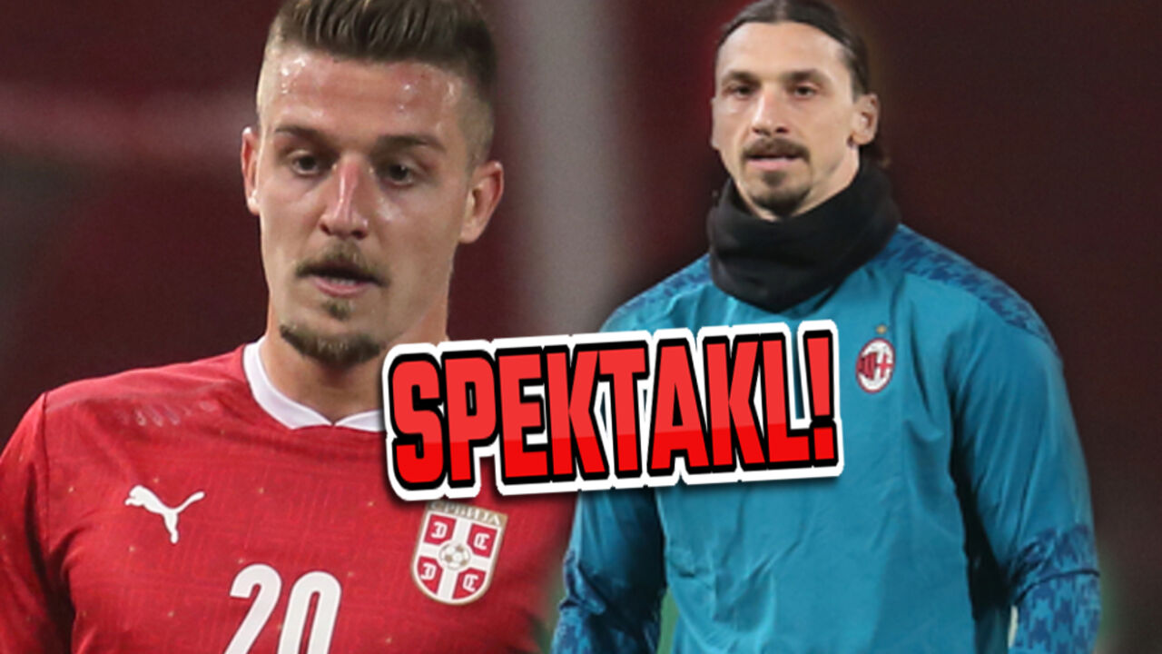 Sergej Milinković-Savić, Zlatan Ibrahimović