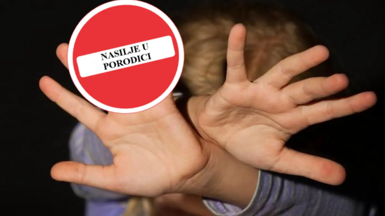 Nasilje u porodici