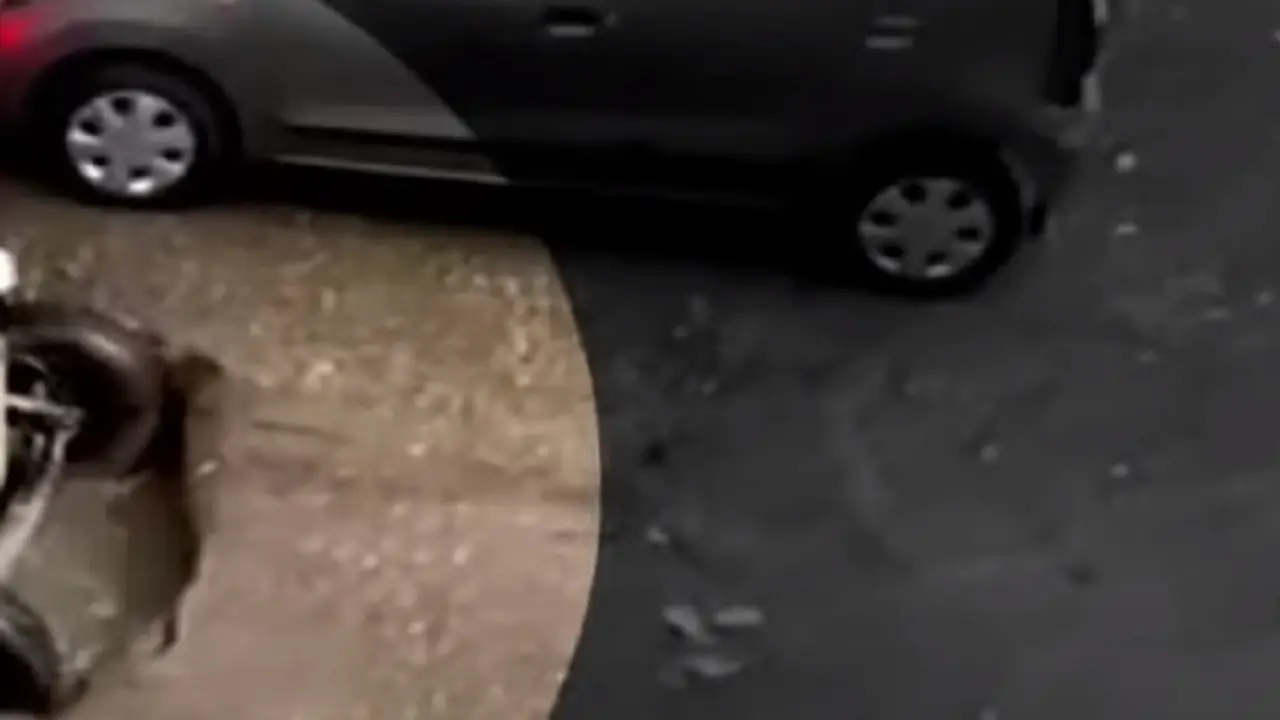 automobil