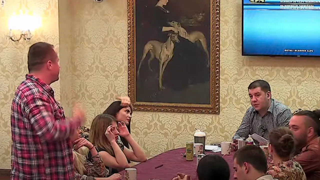 Parovi