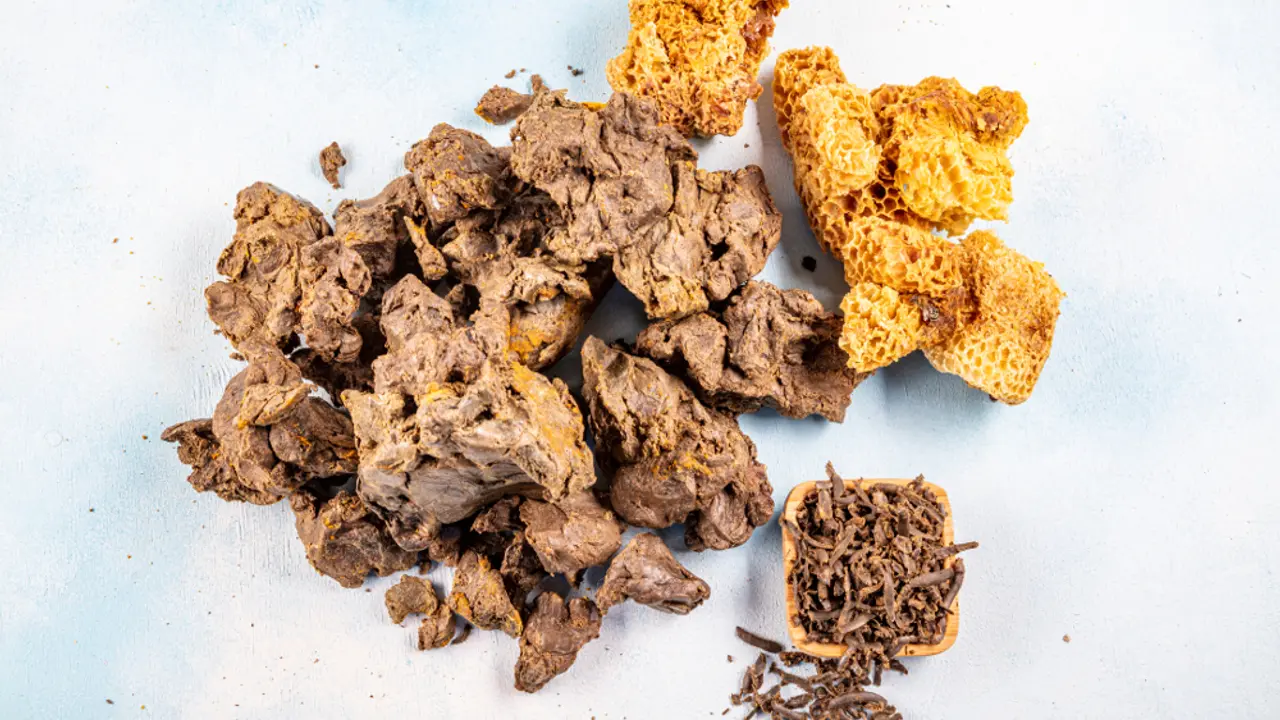 propolis
