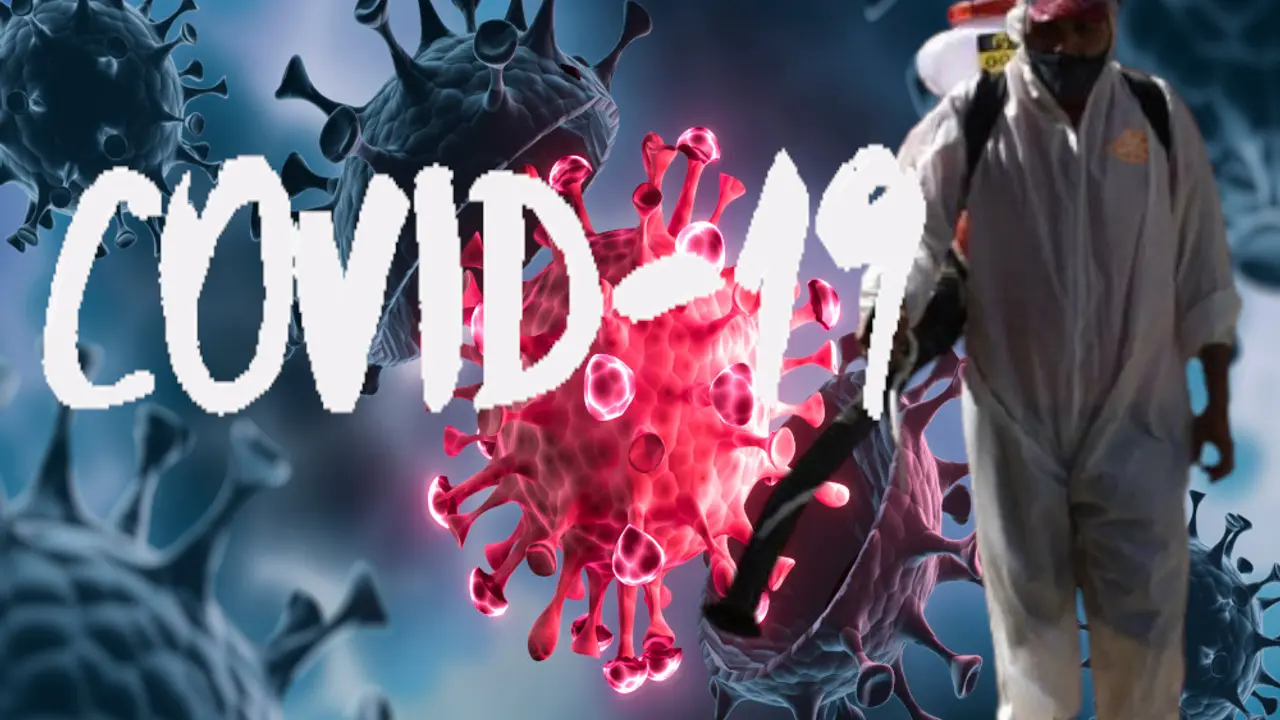 korona virus