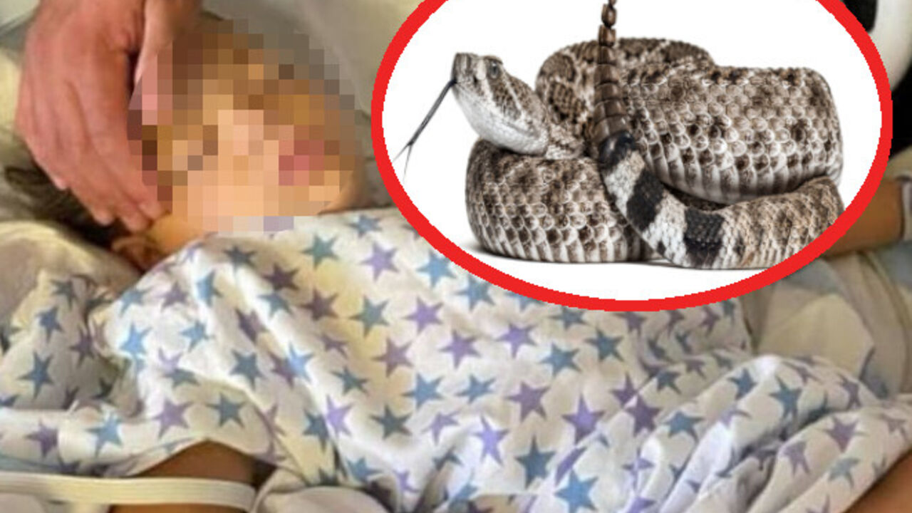 Devojčicu ujela zmija