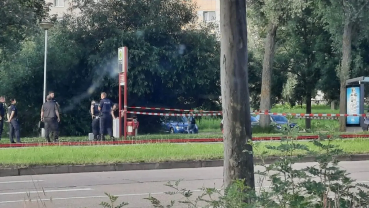 policija