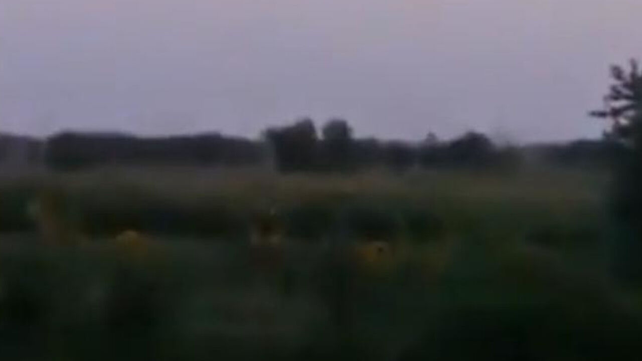 Sirija