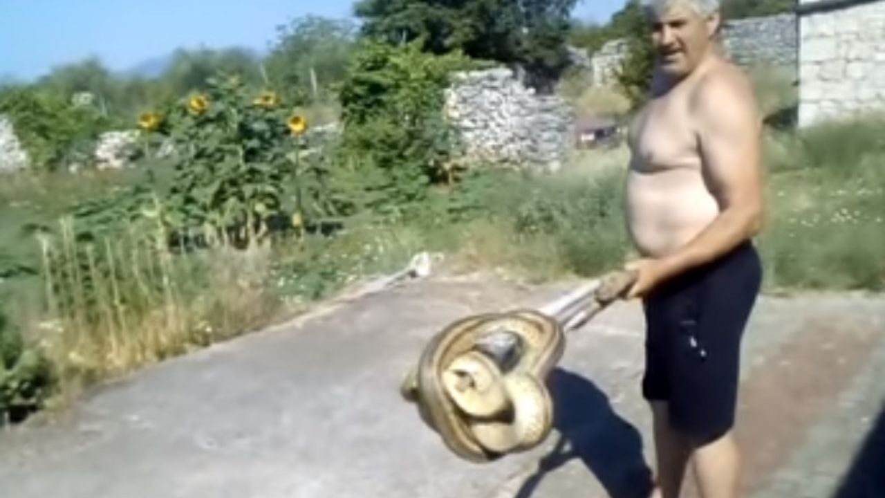 Ivica Zlopaša