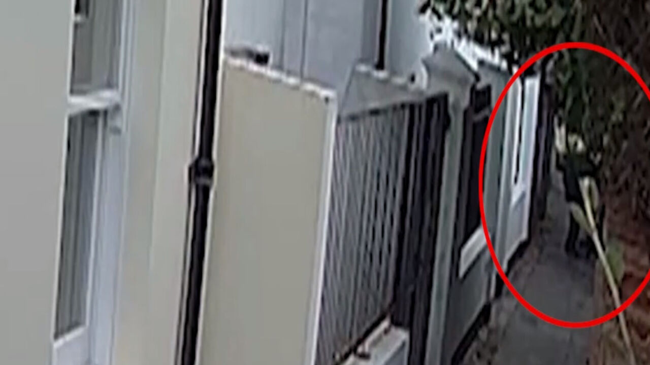 Ubica kućnih ljubimaca