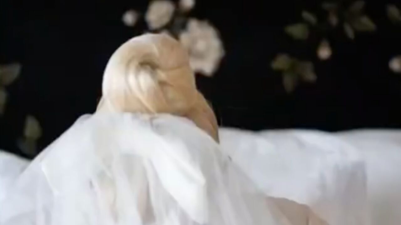 Gven Stefani