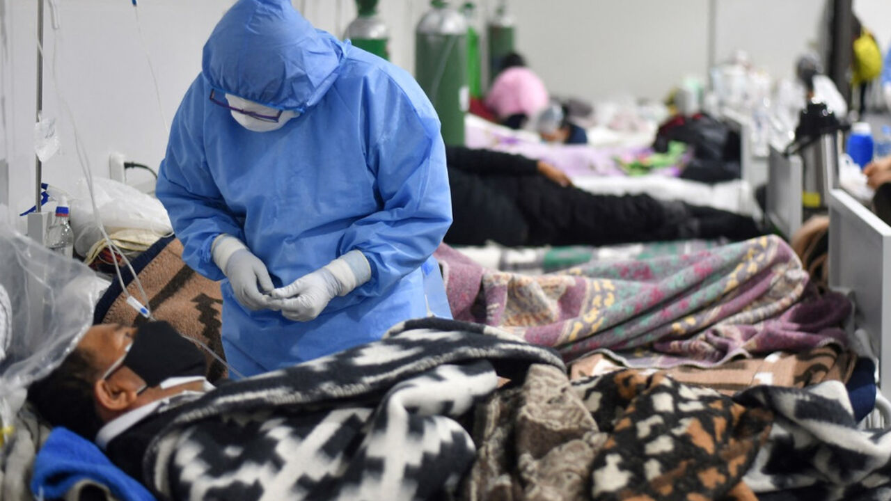 korona virus