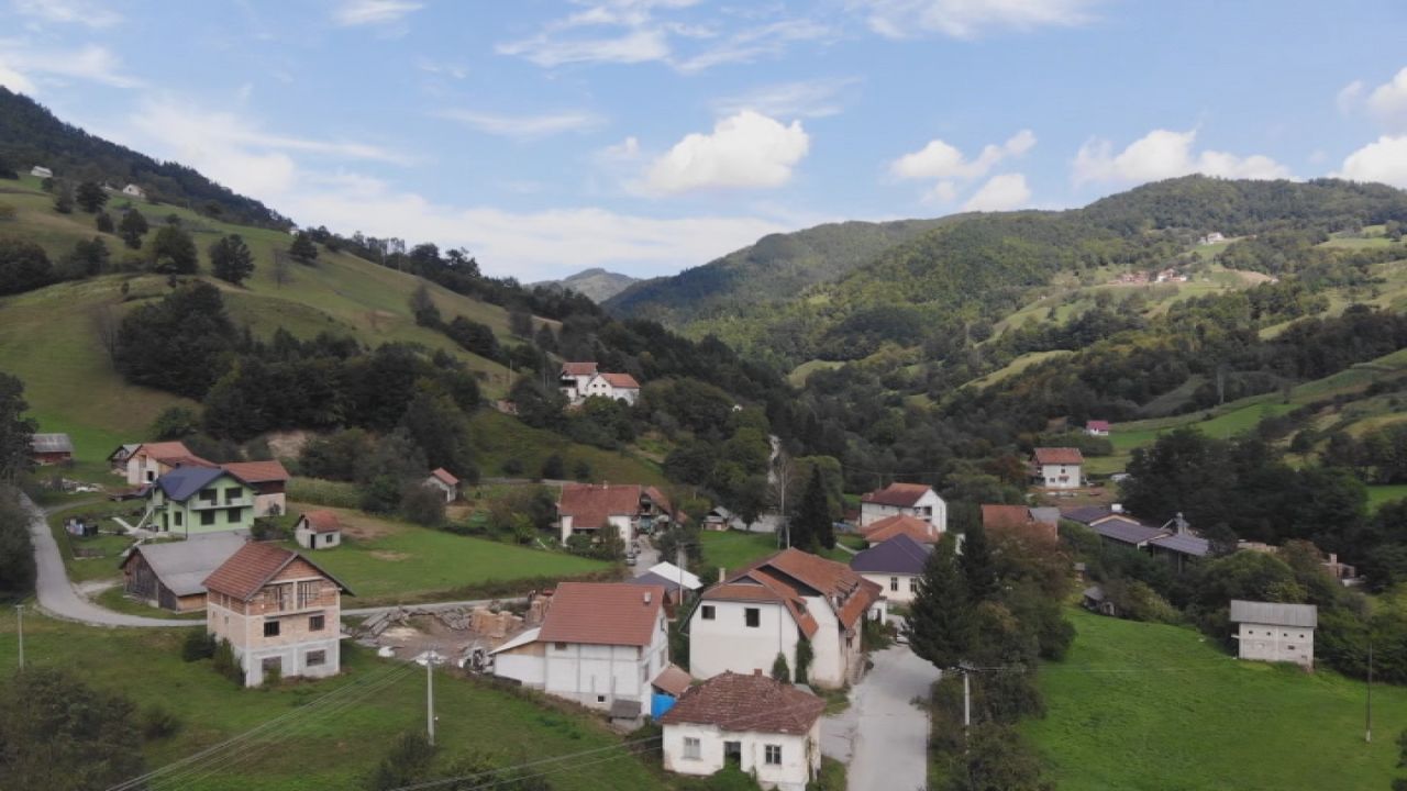Osonica