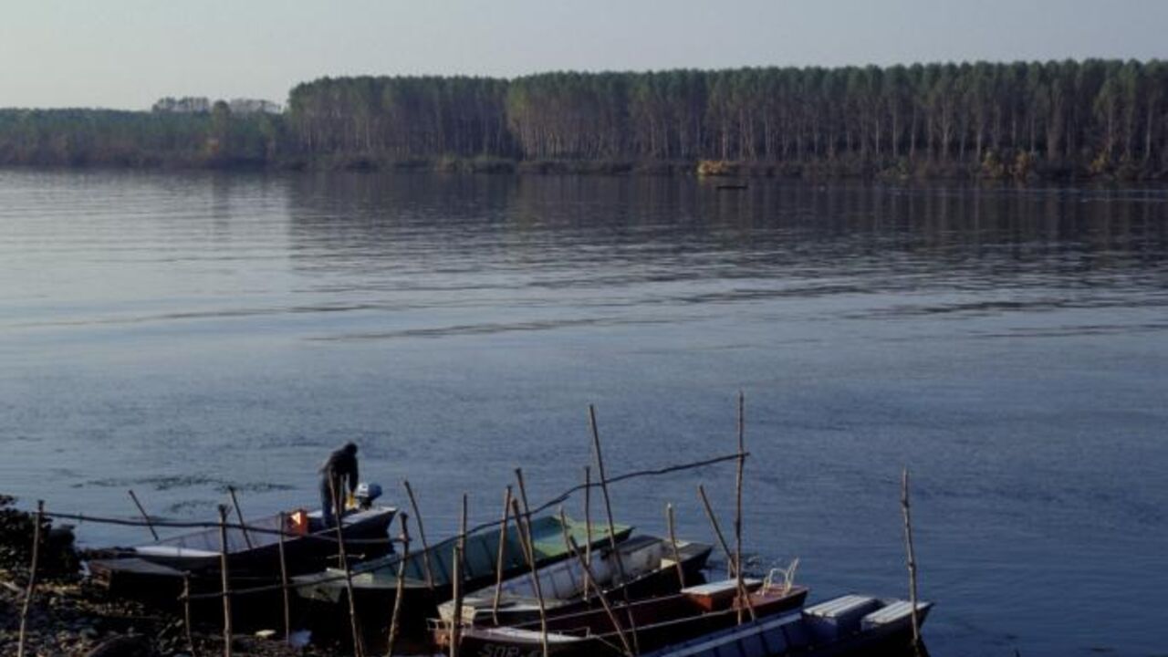 Dunav