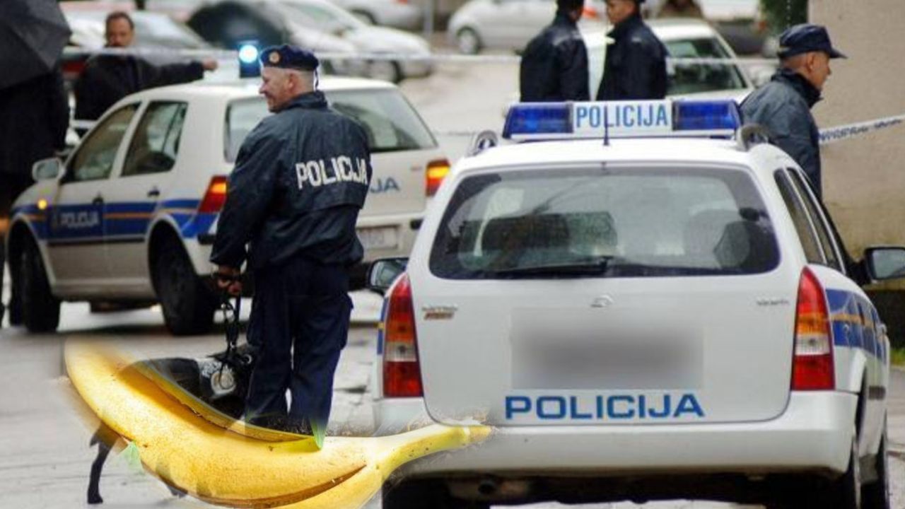 Hrvatska policija