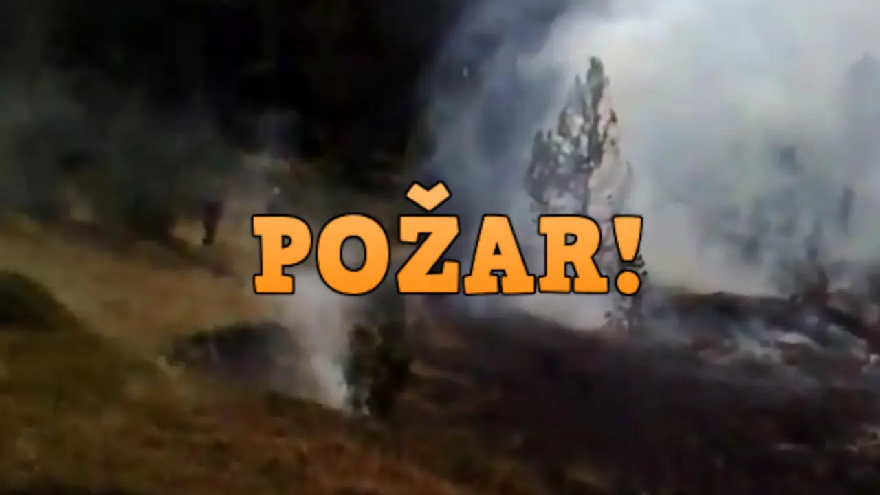 Nikšić - požar
