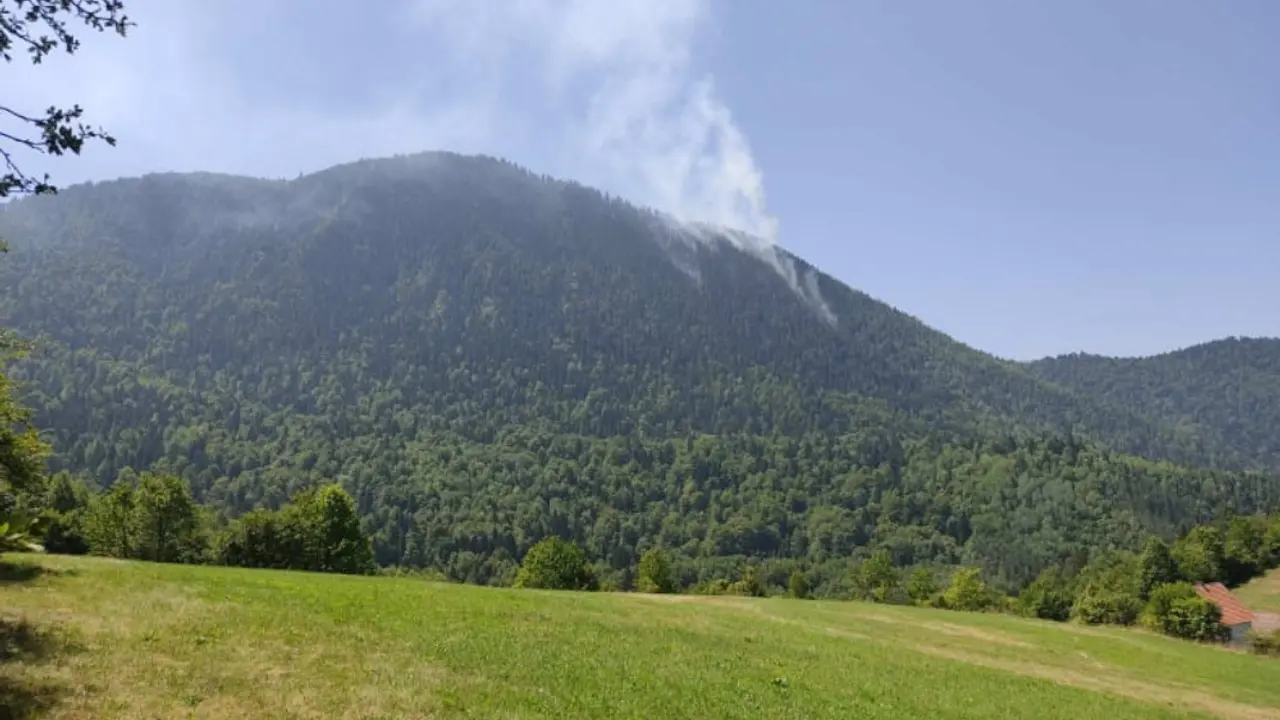 požar na Tari
