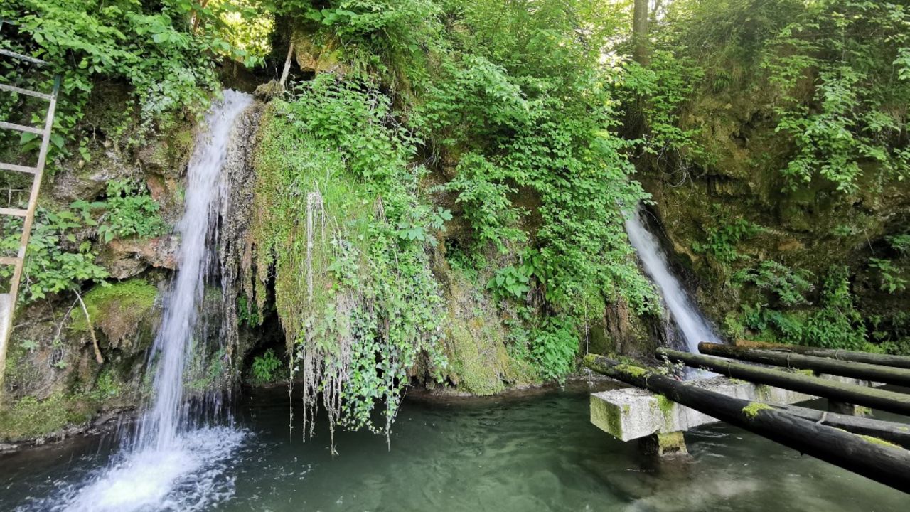 Potpeć