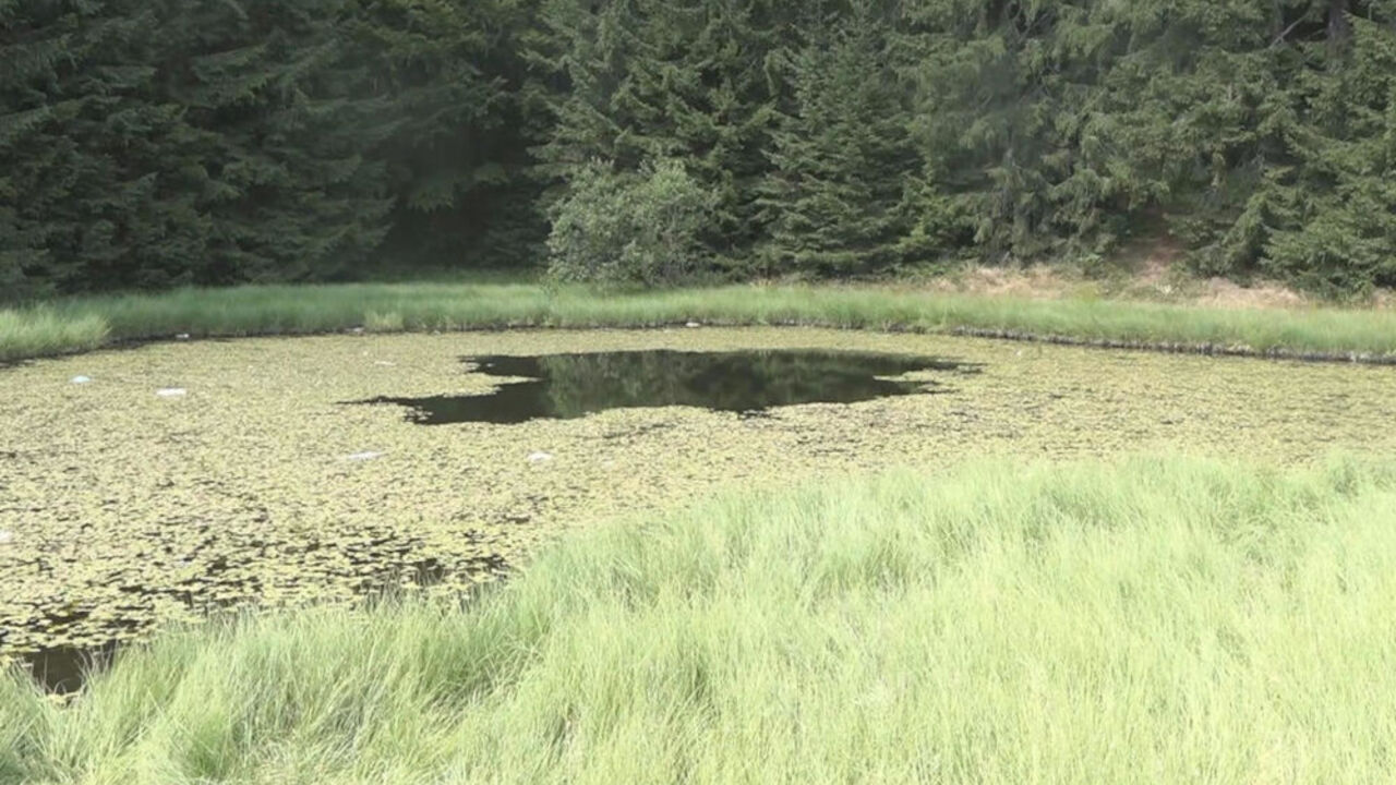 jezero