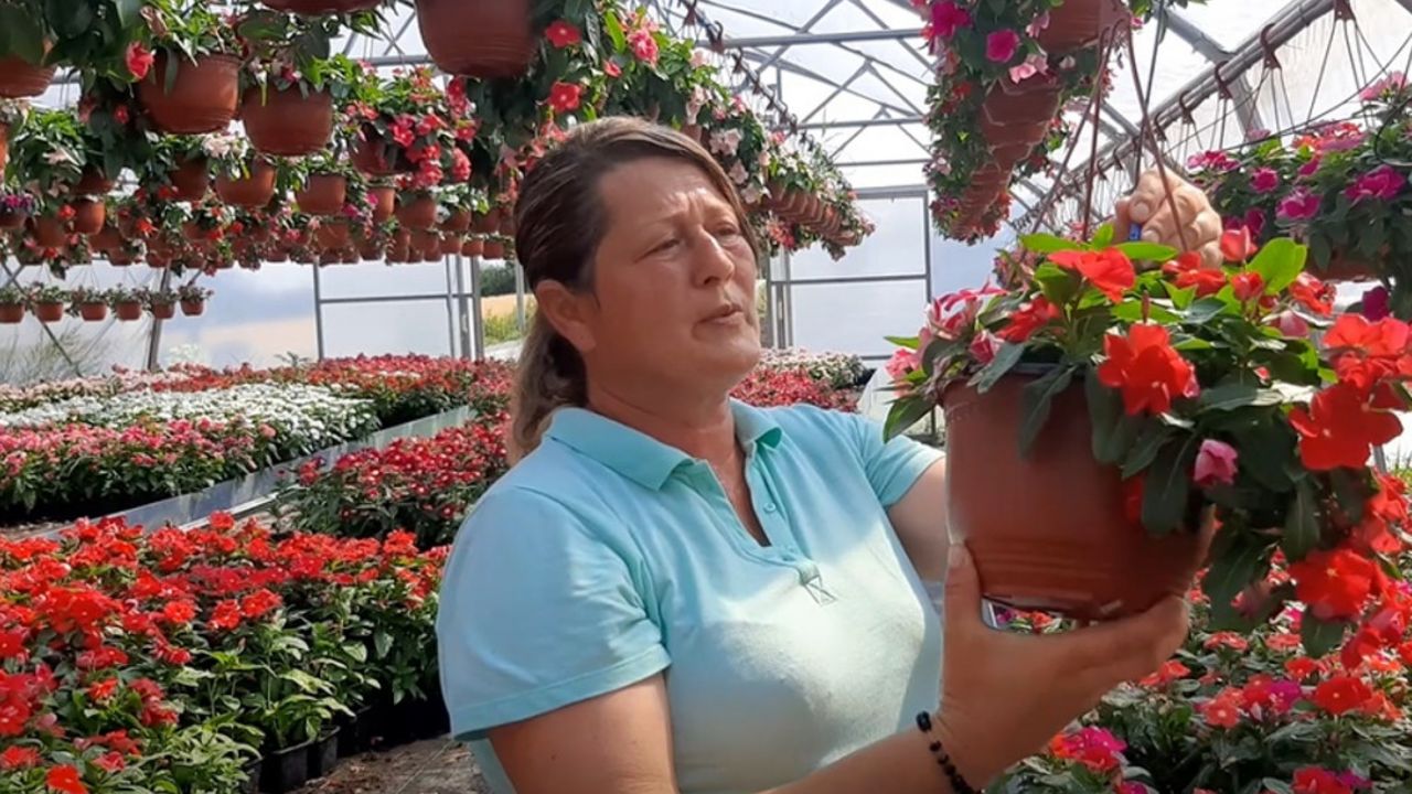 Cveće iz sela kod Topole krasi Beli dvor i Vladu Srbije
