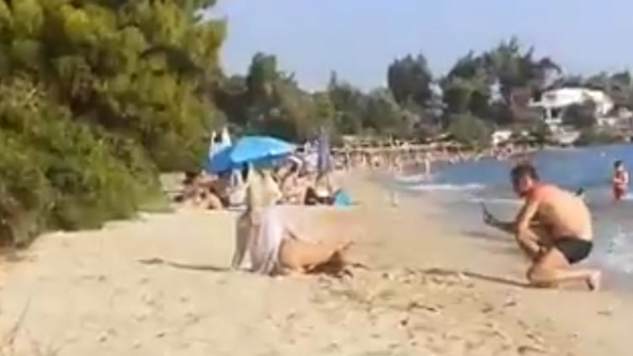 Nesrećni Ivan