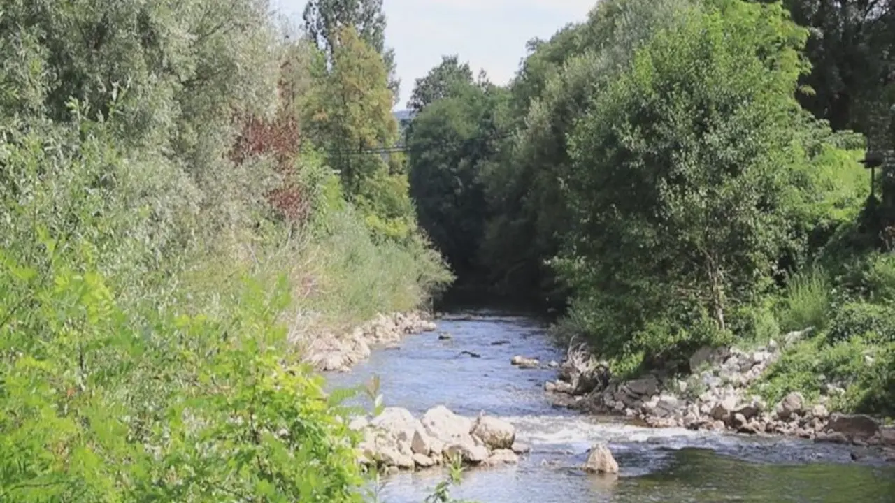 Suša