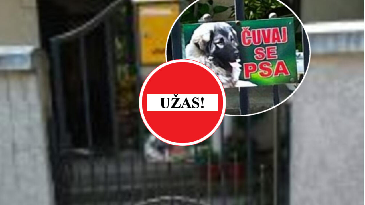 Pas izujedao gazdaricu