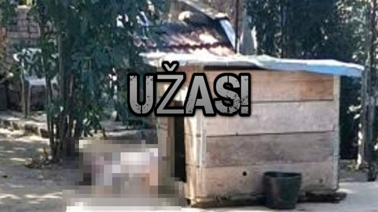 Pas izujedao gazdaricu