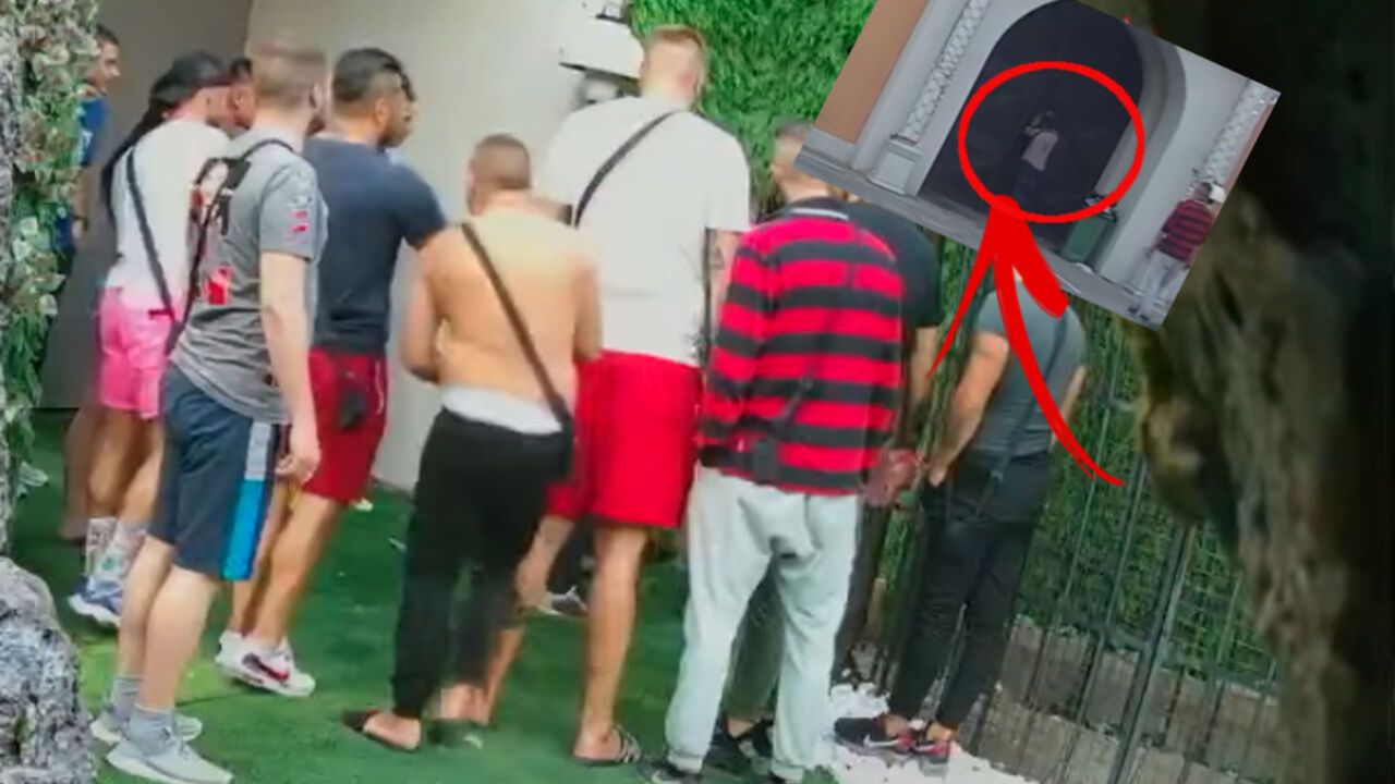zadruga