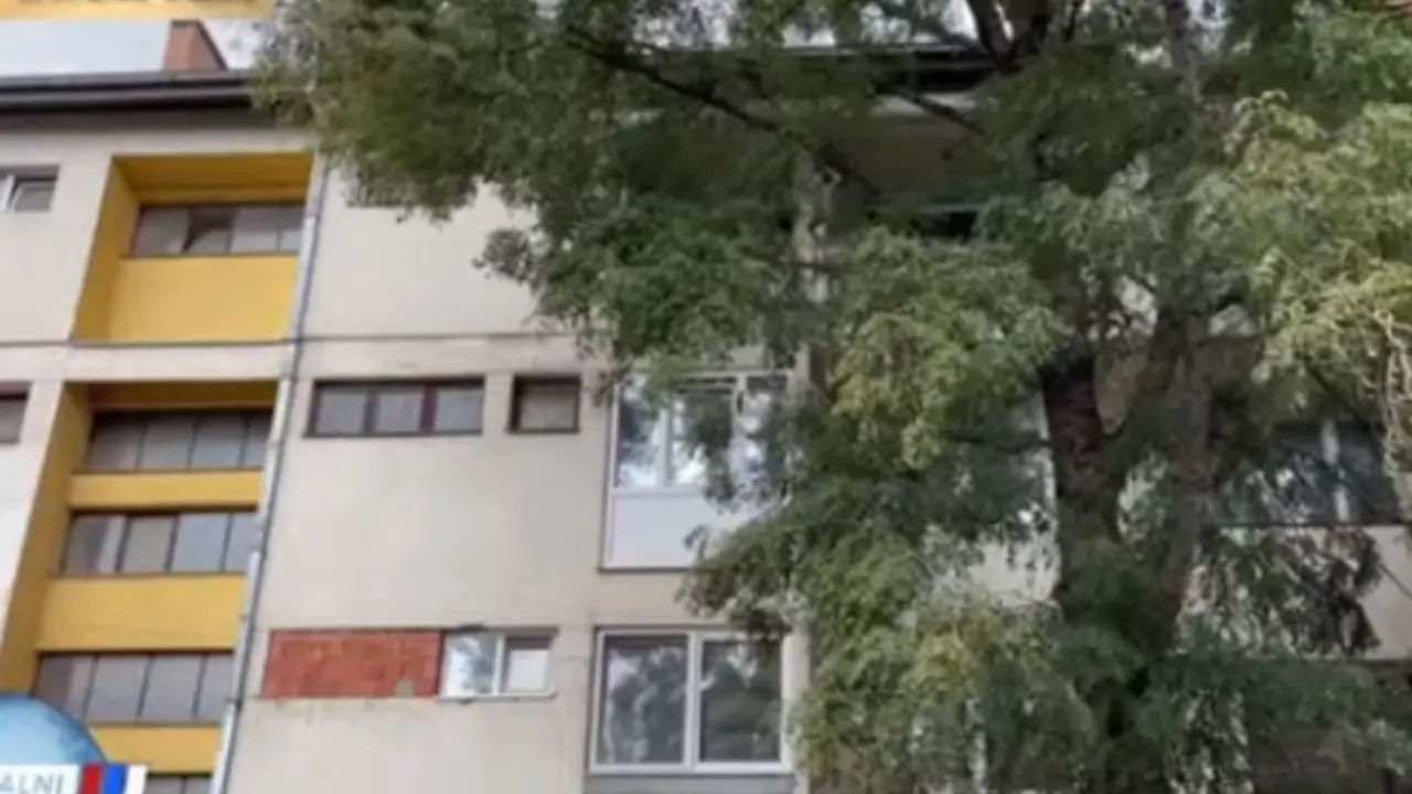 Zgrada porodice iz Aleksinca