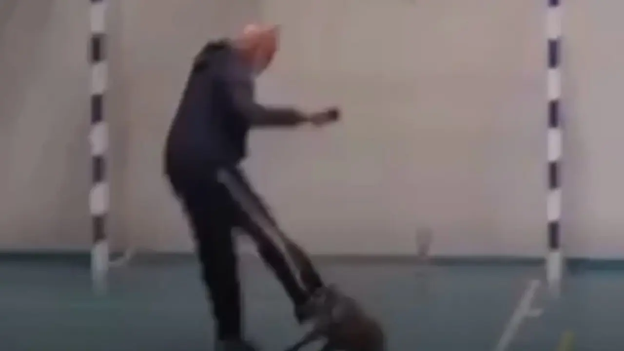 Svinjče