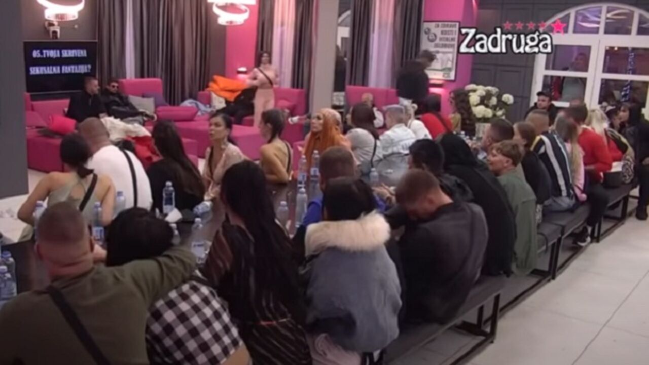 zadruga