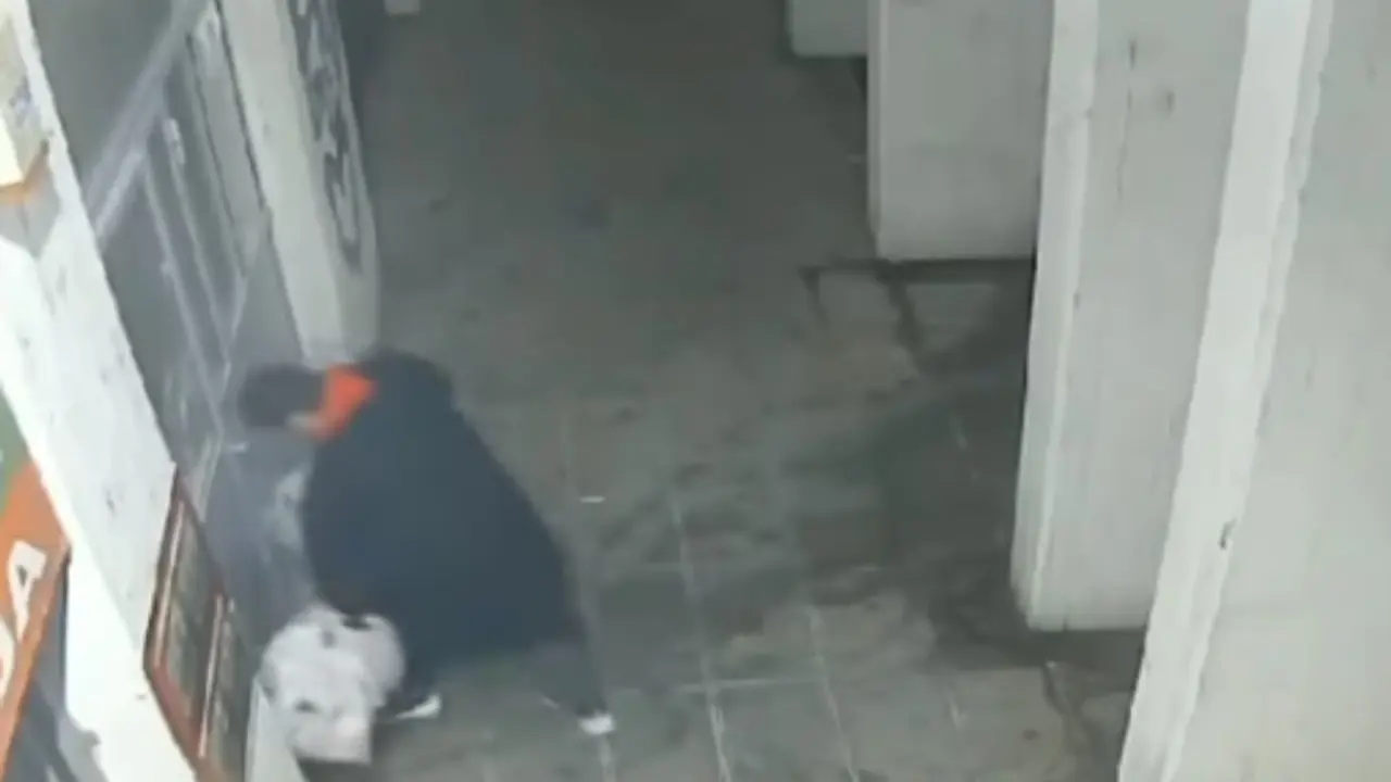 beograd, divljaštvo