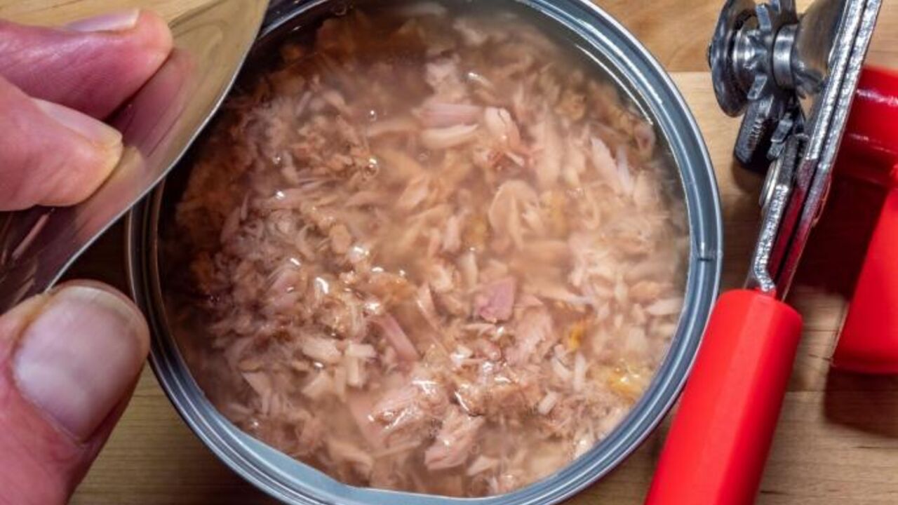 tuna
