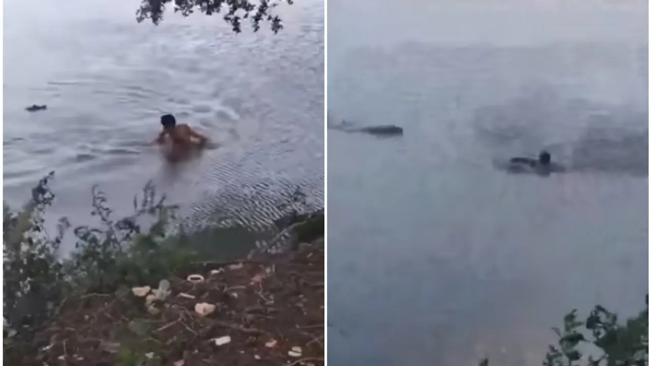 Napao ga aligator