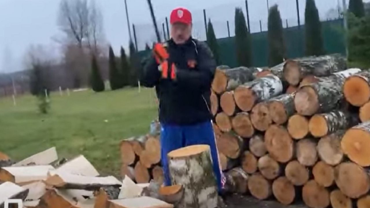 Aleksandar Lukašenko cepa drva