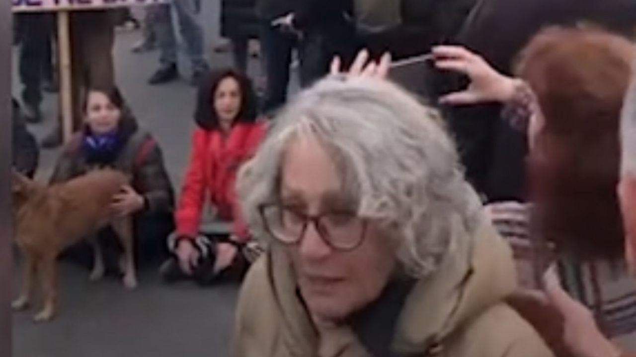 Aila