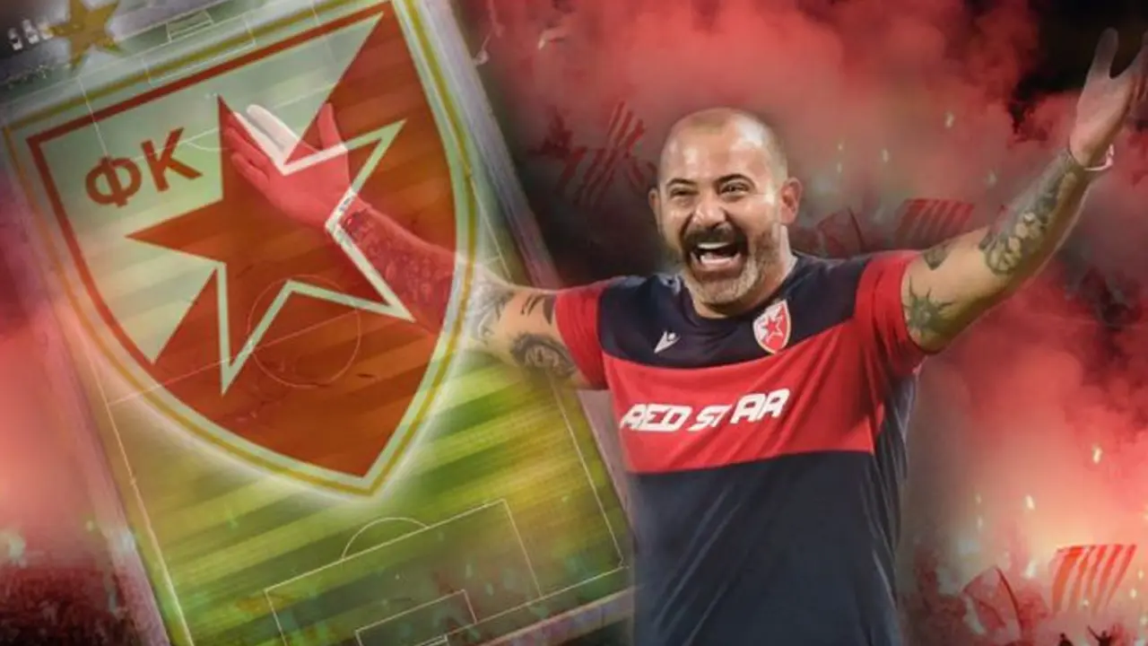Dejan Stanković, FK Crvena zvezda