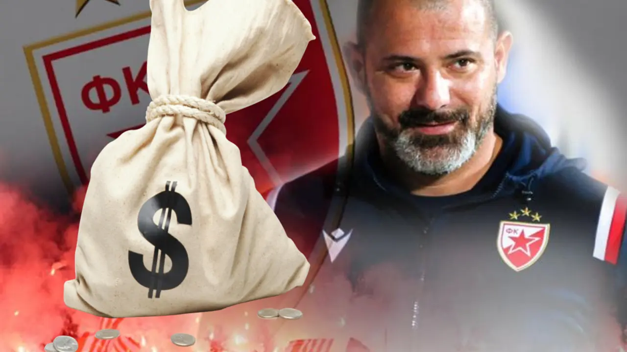 Dejan Stanković, FK Crvena zvezda