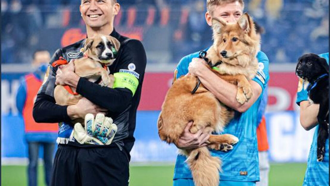 FK Zenit
