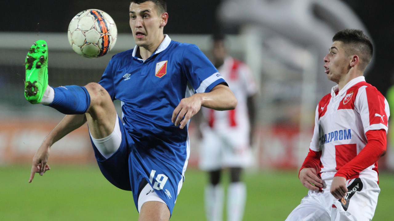 Lazar Rosić, Srđan Plavšić